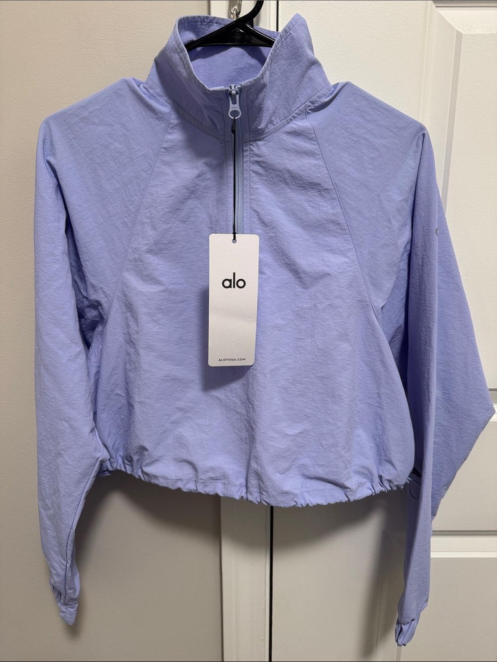 ALO Cropped 1/4 Zip Alumni Pullover